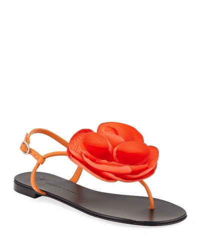 Giuseppe Zanotti Leather Thong Sandal With Flower Detail In Orange