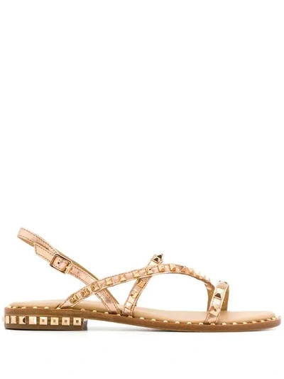 Ash Peps Studded Sandals Rose Gold Leather & Gold Studs