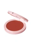 Jillian Dempsey Cheek Tint Blush In Sunny