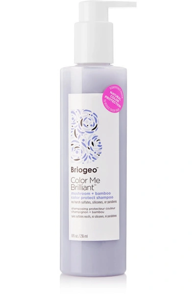 Briogeo Color Me Brilliant Mushroom Bamboo Color Protect Shampoo, 236ml In Colorless