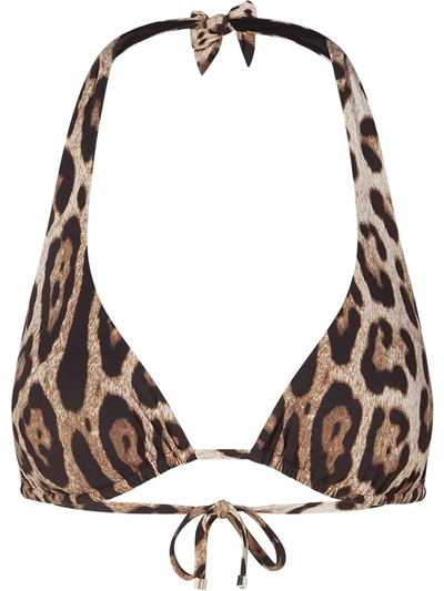 Dolce & Gabbana Leopard-print Halterneck Bikini Top In Neutrals