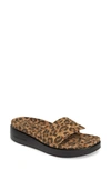 Donald Pliner Fifi Slide Sandal In Leopard Print