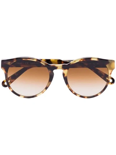 Chloé Willow Pantos-frame Sunglasses In Brown