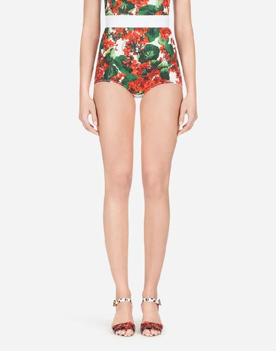 Dolce & Gabbana High-waisted Trouseries In Portofino-print Cady In Red