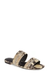 Rebecca Minkoff Marciann Snake Embossed Slide Sandal In Butter