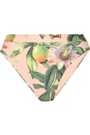 AGUA BY AGUA BENDITA PENELOPE PRINTED BIKINI BRIEFS