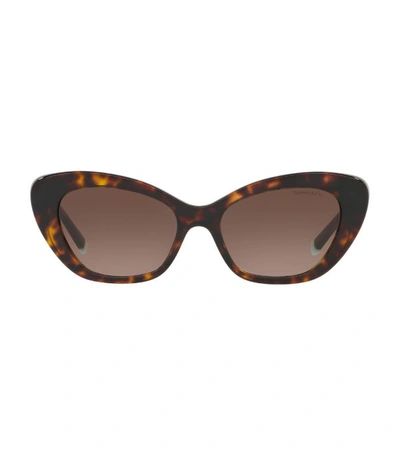 Tiffany & Co Havana Cat Eye Sunglasses