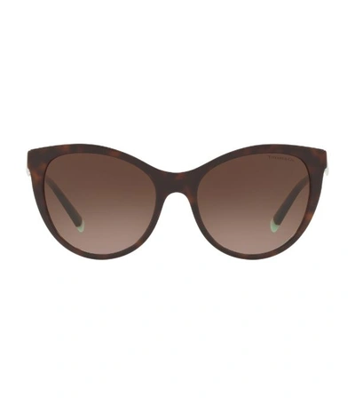 Tiffany & Co Arm Detail Butterfly Sunglasses In Havana/crystal Blue/brown Gradient