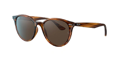 Ray Ban Ray In Brown