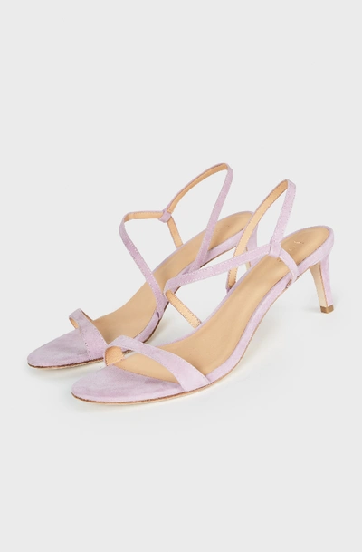 Joie Madi Sandal In Lilac