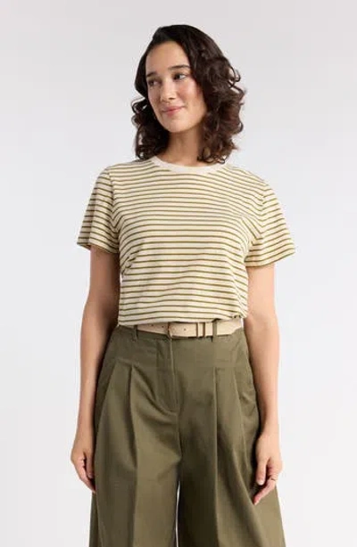 1901 Crewneck Cotton T-shirt In Beige R Olive A Ashley Stripe