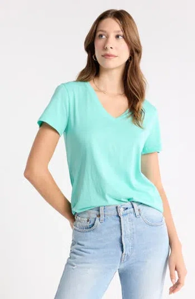 1901 V-neck Cotton T-shirt In Blue