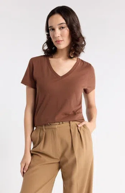 1901 V-neck Cotton T-shirt In Brown Tiramisu