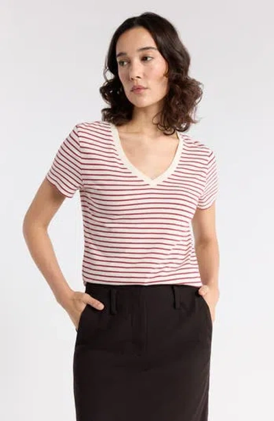 1901 V-neck Cotton T-shirt In Ivory P Red Ashley Stripe