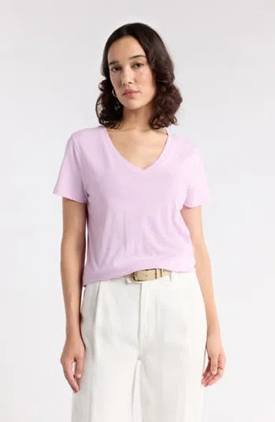 1901 V-neck Cotton T-shirt In Purple Trellis
