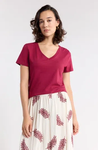 1901 V-neck Cotton T-shirt In Red Rumba