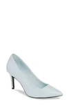 Calvin Klein 'gayle' Pointy Toe Pump In Pastel Blue Leather