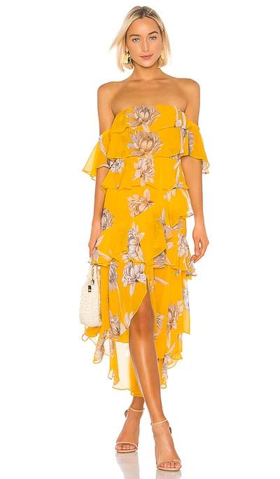 Misa Dalila Dress In Yellow Floral