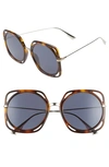 DIOR DIRECTIONS 56MM SQUARE SUNGLASSES - HAVANA/ GOLD,DIRECTIONS