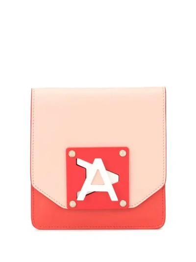 Anteprima Alisea Plexi Mini Clutch - 多色 In Multicolour