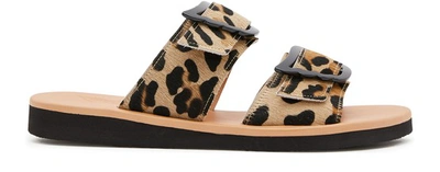 Ancient Greek Sandals Iaso Sandals In Leopard