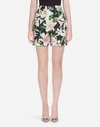 DOLCE & GABBANA LILY-PRINT POPLIN SHORTS