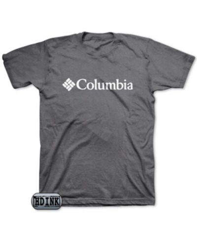 Columbia Rapid Ridge Back Print Graphic T-shirt In Gray-grey
