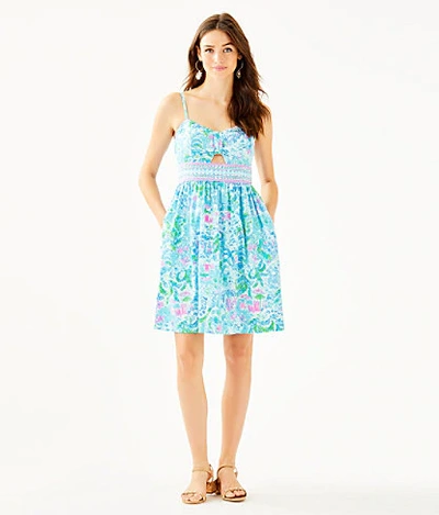 Lilly Pulitzer Katlynn Dress In Multi What A Lovely Place Engineered Dress