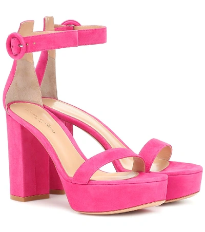 Gianvito Rossi 绒面革防水台凉鞋 In Pink