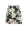 DOLCE & GABBANA Floral cotton-poplin shorts,P00389215
