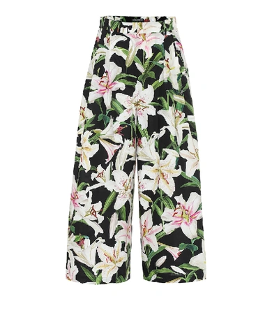 Dolce & Gabbana Lily-print High-rise Cotton Culotte Trousers In Floral Print