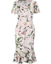 Dolce & Gabbana Lily Print Flutter Sleeve Bodycon Dress In Rosa