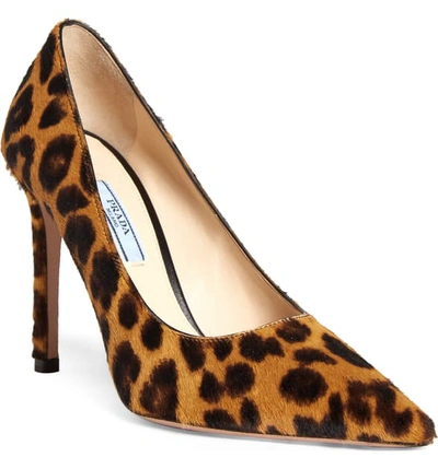 Prada Leopard Print Genuine Calf Hair Pointy Toe Pump In Animal