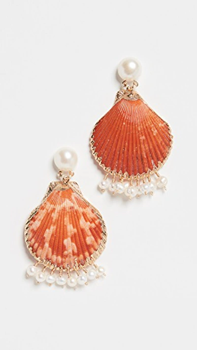 Mercedes Salazar Shell Earrings With Dangling Pearls In Orange