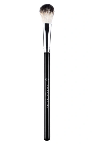 ANASTASIA BEVERLY HILLS ANASTASIA BEVERLY HILLS A23 LARGE DIFFUSER BRUSH,ABH01-28623