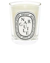 DIPTYQUE NARGUILE SCENTED CANDLE,DIPF-UA38