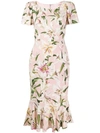 Dolce & Gabbana Lily Print Flutter Sleeve Bodycon Dress In Hfkk8 Gigli Fdo.rosa