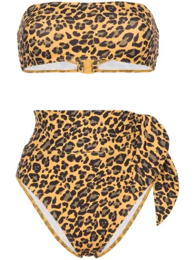 Zimmermann Leopard Print Bandeau Bikini In Brown