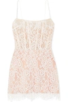 RASARIO LACE AND TULLE MINI DRESS