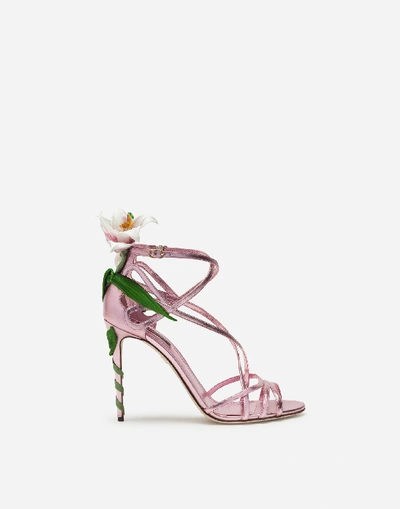 Dolce & Gabbana Mordore Nappa Sandals With Lily Embroidery In Pink
