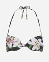 DOLCE & GABBANA LILY-PRINT PUSH-UP BIKINI TOP