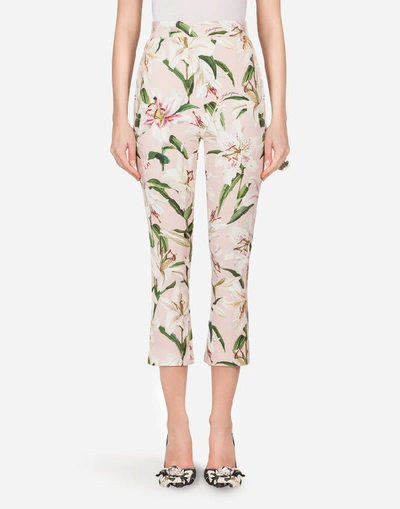Dolce & Gabbana Lily-print Cady Pants In Neutrals