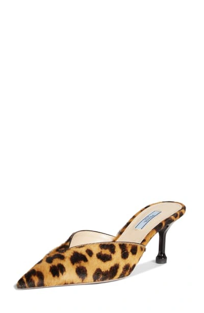 Prada Leopard Print Genuine Calf Hair Mule In Brown