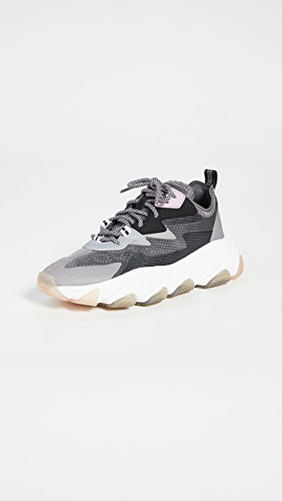 Ash Eclipse Panel Chunky Sneakers In Grey