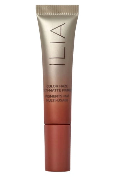 Ilia Color Haze Multi-matte Pigment Cream Color - Brick In Brick