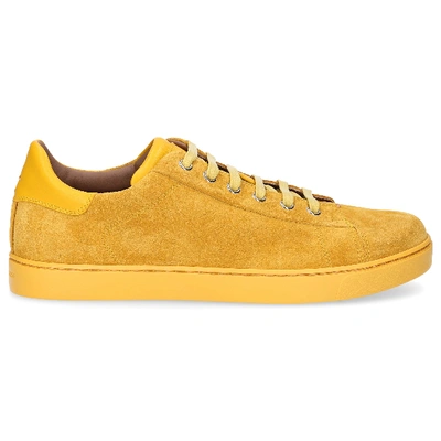 Gianvito Rossi 低帮运动鞋 Low Top 拼接缝 黄色 In Yellow