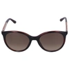 JIMMY CHOO JIMMY CHOO WOMEN SUNGLASSES CAT EYE STELLA METAL GOLD