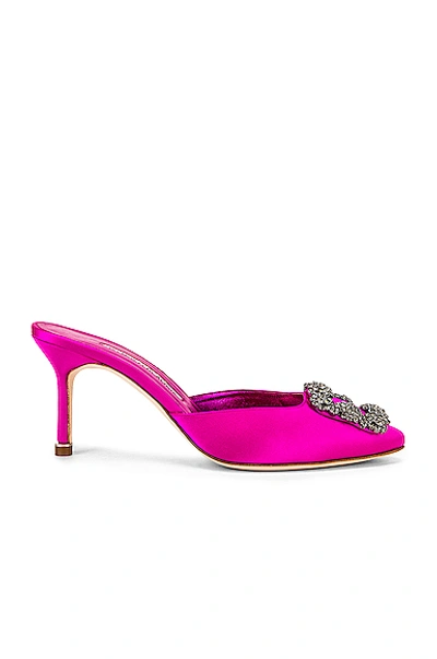 Manolo Blahnik Hangisi 70 Mule In Hot Pink