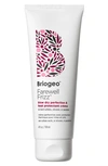 BRIOGEO FAREWELL FRIZZ BLOW DRY PERFECTION AND HEAT PROTECTANT CRÈME,FG0801
