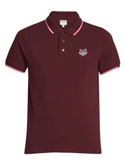 Kenzo Tiger Embroidery Cotton Polo In Bordeaux